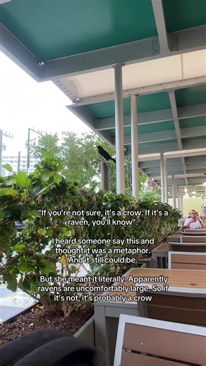 The more you know 🙌🏼🌈 | Raven