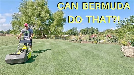 No Voice, Just Grass: Reel Mowing ASMR Video