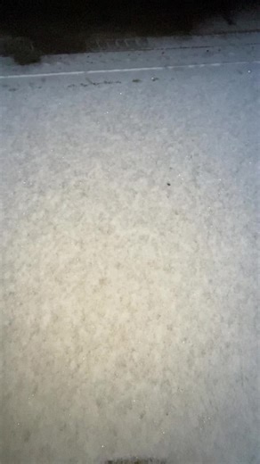 Chilling Horror Experience in the Snow