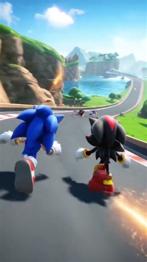 Sonic versus Shadow Sonic race