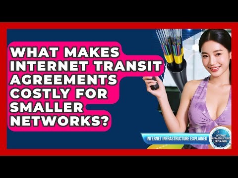 What Makes Internet Transit Agreements Costly For Smaller Networks?