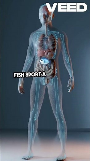 Understanding Open vs Closed Circulatory Systems #science #facts #biology #neet #education