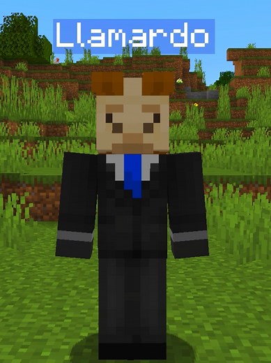 Minecraft Server Raid & Bedrock Servers