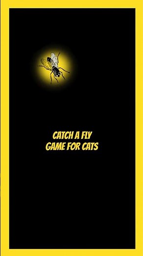 Catch the Firefly | Fly game for Cats #catgames