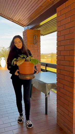 237K views · 6.3K reactions | Amo le giornate così… | Diana & Alessio | Facebook