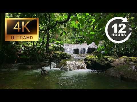 12 HOURS Subtropical Forest River 4K 🌿💧 Serene Waterfall & Birdsong | Sleep & Study [NO MUSIC]