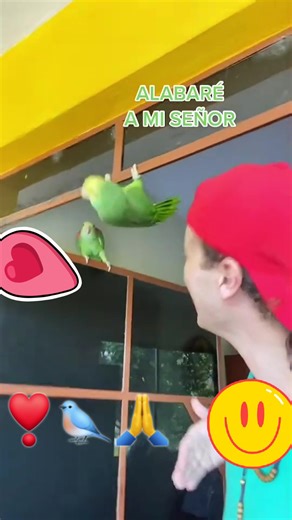 220K views · 5.7K reactions | Alabaré a mi se❣️ #videoviralシviralシ2025 #reelschallengereelschallenge #viralreelschallenge2025viralreelschallengejaiviralreelschallengeviralreelschallenge #reelschallengereelschallengereelschallengereelschallenge #videoreelsシ #tendencias2025 #ViralFacebook #mexico #pajaros #peruanosenelmundo #colombiana #USAToday #amoranimal #loros #animales #aves #virales #viral #europa #religion #DiosEsBueno | Mel Tc | Facebook