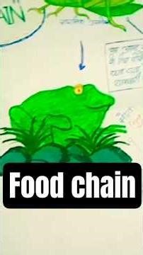 food chain drawing 😍❤️❤️🎨 short video 📷📷