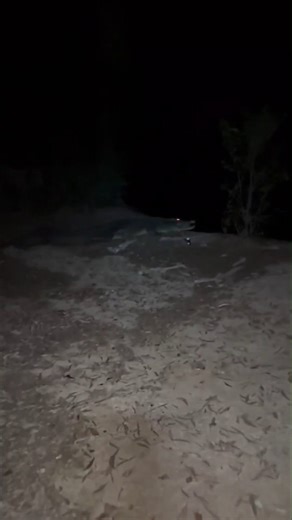 52K views · 2.3K reactions | BE CROC WISE!! Always check your...