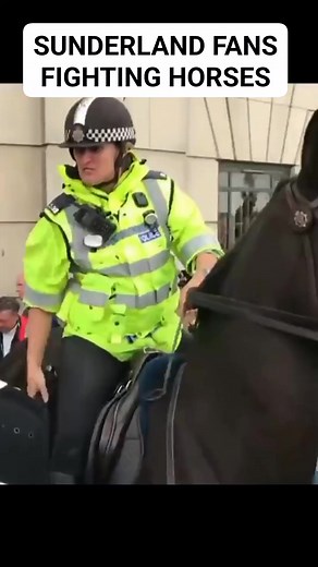 They've got nothing left to say 😭😂 #memes #NUFC #newcastle #SAFC #Sunderland #football #hooligans #awaydays | Memecastle United