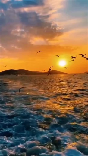 Helen Miller (@helen.miller21)’s videos with original sound - John Irwin💙💙💙