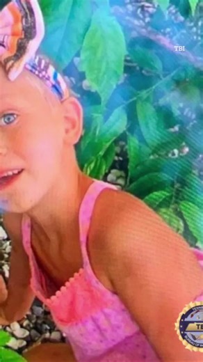 3.1K views · 19 reactions | Major Summer Wells update on missing girl 4 years after disappearance | The US Sun | Facebook