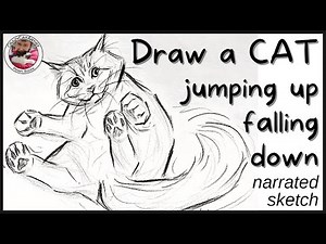 How to Draw a Cat Jumping Up Falling Down Leaping Pounce simple sketch tutorial beginner artist & up
