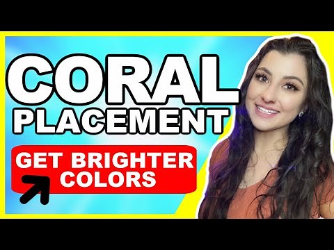 BOOST Color in Reef Tank with Coral Placement!