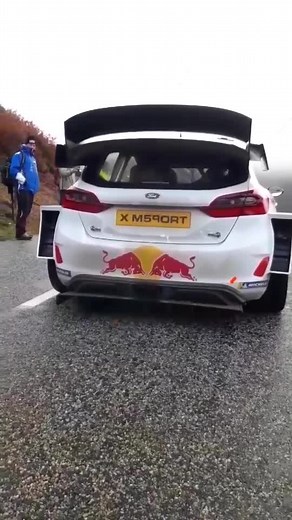 🤤 🔥 #nomusic #fy #ford #engine #car #rallycar #fordfiesta #motorsport #wrc #rally #rallying #sound #rallye @redbull
