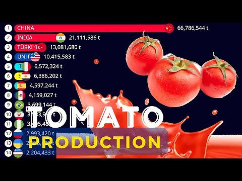 TOP 20 TOMATO PRODUCING COUNTRIES IN THE WORLD