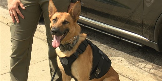 Vestal Police K9 receives donated ballistic vest