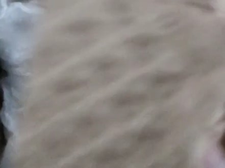 ndsl更换烧录卡 卡槽