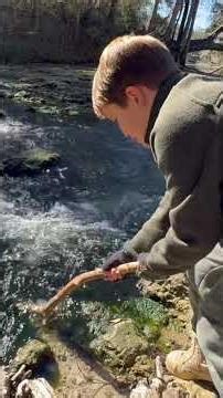 #ourfavoritefinds #floridasprings #babblingbrook #refection #colors #naturesbeauty #senescence