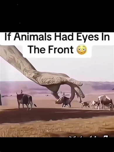 Understanding Animal Eye Positioning in Species