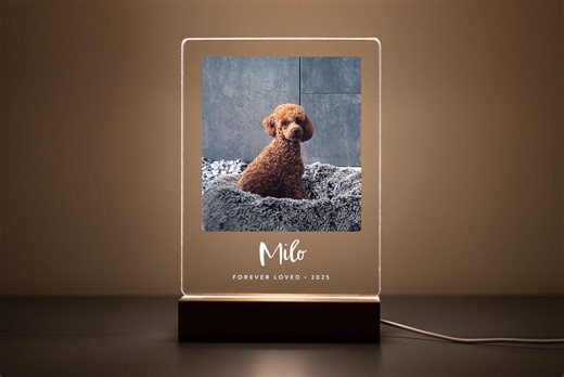 Personalized Pet Memorial LED Photo Plaque: Custom Dog Cat Loss Gift, Pet Bereavement Gift, Pet Sympathy Gift, PML02 - Etsy