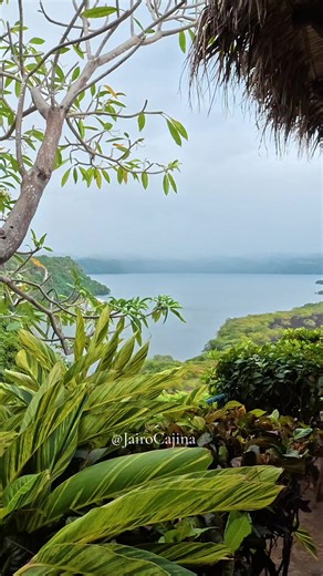 Tour “La Última Copa”* En *Dúo Producciones*, Iniciamos el 2026 con la convicción de que Nicaragua anhela espectáculos de altura, cargados de alma y la presentación oficial de un evento que detendrá el tiempo en Nicaragua: el regreso y despedida del *Maestro Alci Acosta pormenores del tour *“La Última Copa”* del Emperador del Sentimiento, *Alci Acosta*, junto al fenómeno musical *Costa Azul*. pronto #JairoCajina #Nicaragua #noticias #CapCut