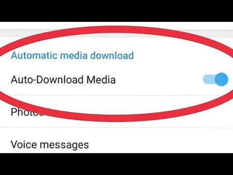 Telegram || How To Fix Auto Download Media Problem Solve