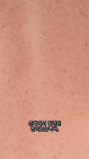 유출된 기밀문서 23-델타: 차원을 떠도는 여인