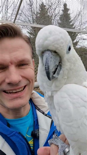 Velikonoce v Království papoušků ❤️