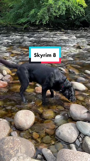 Denzel's Search for the Artist's Pool in Skyrim: Part 2