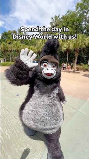 Spend the Day in Disney World with Us!