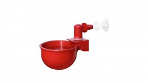 Revolutionize Chicken Care: Easy DIY Waterer Guide | RentACoop