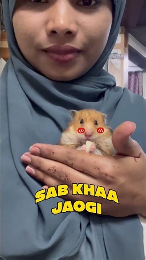 Hand feeding hamster #hamster #pets #love #reels