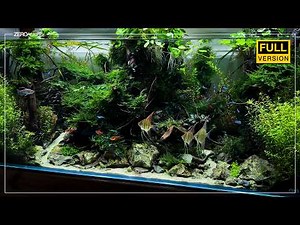 Amazing 120cm Aquascape Setup (2026) | 150 Days Start to Finish (Cinematic)