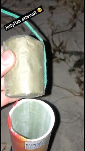 Homemade canister jellyfish shell 🪼 #fireworks #pyro #pyrotechnics