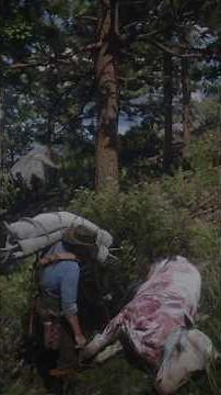 Hunting the World's Most Legendary Elk in RDR2