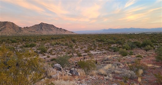 San Tan Valley to form inaugural city council, becoming Pinal County's largest city