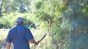 Here's a video made by Zach Hamrick spotlighting a few of our members. | Hawaiian Railway Society