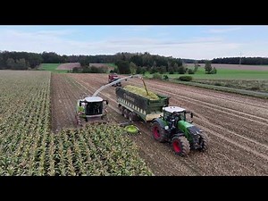 Mais-Häckseln 2023 in 4K UHD