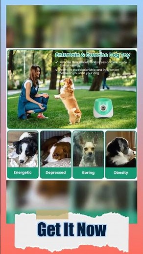 Automatic Dog Ball Launcher - Rechargeable Fetch Machine