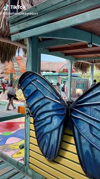 Welcome to Little French Key! 🏝 #newowners #privateisland #vacation #animalencounters #beach #resort #traveltok #top10 #rastamonkey #lfkresort #littlefrenchkeyresort