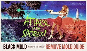 How to Get Rid of Mold - Remove Mold Guide | Do It Yourself