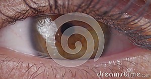 Eye Opening Blinking Macro Close Up Slow Motion 200fps 4K Stock Footage - Video of fashion, girl: 94446924