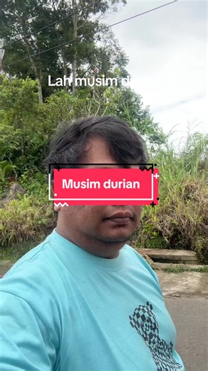 Musim Durian: Kenikmatan Buah Tropis di Damonok