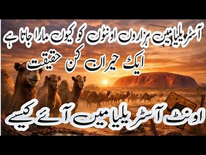 Camel Culling in Australia | The Hidden Environmental Crisis