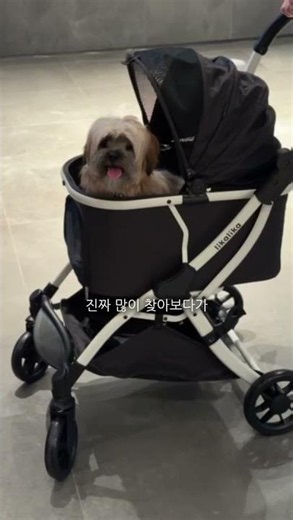 국내 최저, 진짜 가벼운 유모차. 한 손으로 거뜬한 5.7kg 올데이 라이트!