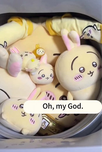 Washing Machine Magic: Chiikawa Plush Adventures