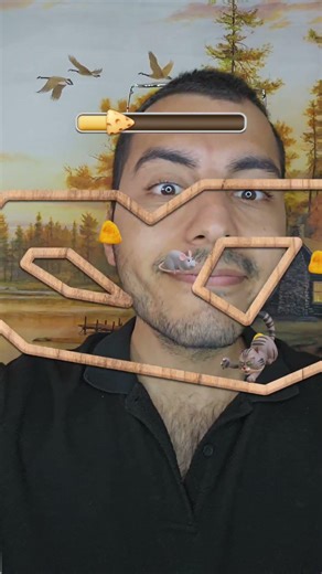 Cheese hunt mouse animals puzzle game #game