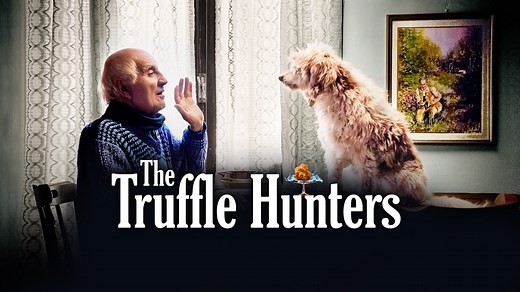 The Truffle Hunters - Apple TV