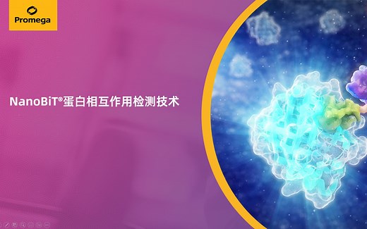 NanoBiT蛋白相互作用检测技术